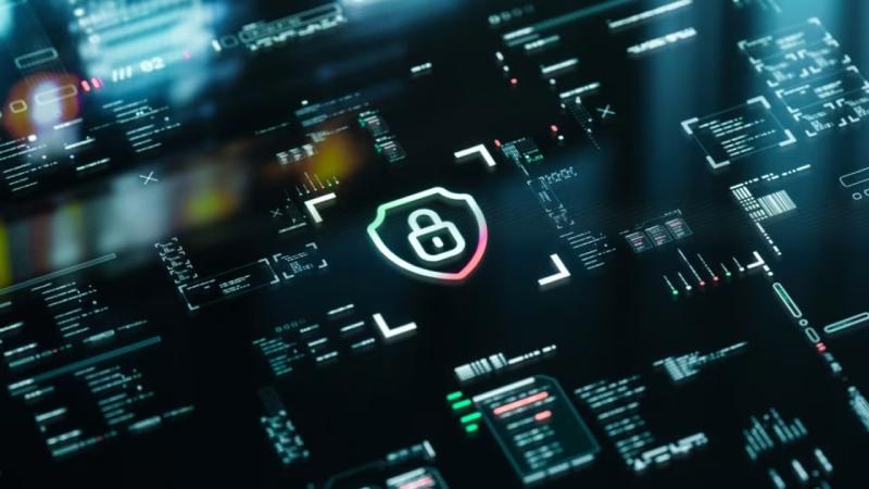 金湾区软件开发公司