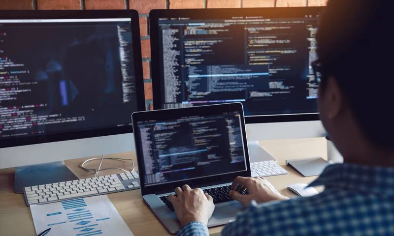 数据科学选型：R与Python如何赋能金湾区网站建设？